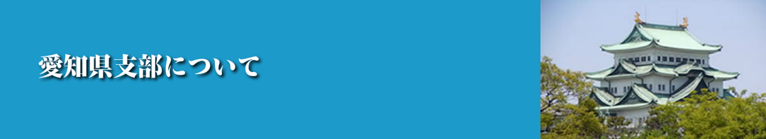 日本健康太極拳,楊名時,愛知県,名古屋市,楽し,ダイエット,長生き